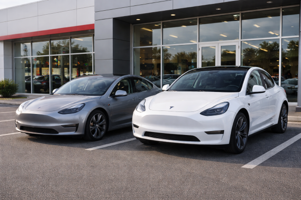 Tesla Model 3还是Model Y？电车入门如何选择更合适